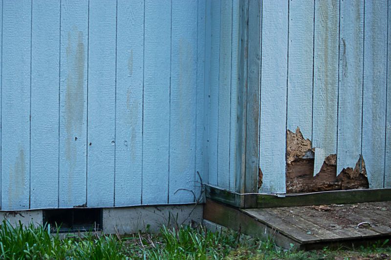 Siding Repair and Maintenance